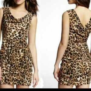 Size 2 Express Leopard Ruched Dress